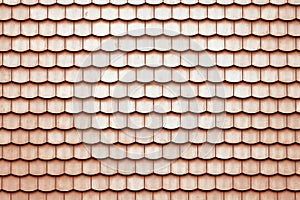 Roof tiles texture