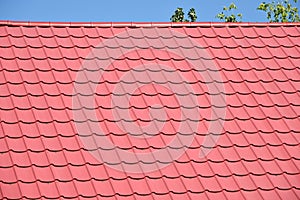 Roof tilles of a building