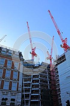 Roof Top Cranes