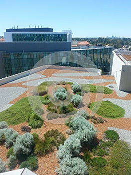 Roof top garden at Fiona Stanley Hospital Perth