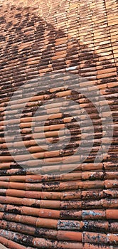 Roof top house texture