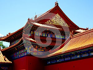 Roof tops in forbidden city in Beijing