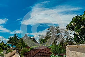 Roof tops and palms in african village Kendwa, Zanzibar island, Tanzania