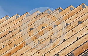 Roof trusses in a line