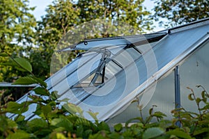 roof window of a small greenhouse in an allotment garden