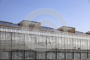 Roof windows opening for fresh air treatment in greenhouses