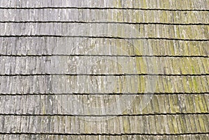 Roof wooden shingle texture