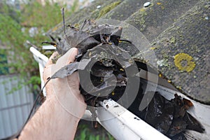 Roofer Cleaning Rain Gutter from Leaves in Spring. Roof Gutter Cleaning Tips. Clean Your Gutters Before They Clean Out Your Wallet