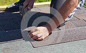 Roofer contractor laying asphalt shingles on house rooftop. Roofer nailing asphalt shingles on the house roof