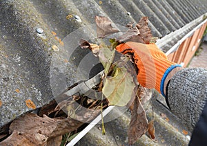 Roofer Hand Cleaning Rain Gutter from Leaves in Autumn. Roof Gutter Cleaning from Fallen Leaves. House Gutter Cleaning
