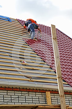 Roofers on the roof