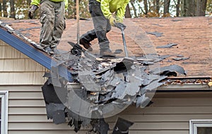 Roofers strip old shingles from a house