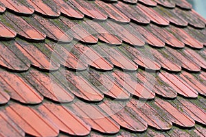 Roofing slate