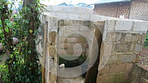 Roofless jungle bathroom in the open air in kalaw myanmar