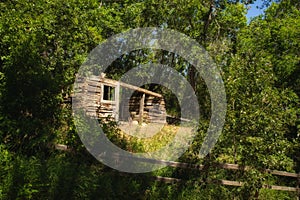 A roofless settlers cabin in a green forest