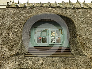 Teddy bear looking through a small window.