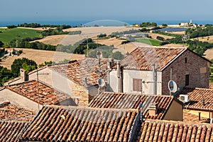 Roofs of ancient houses in the town of Mondolfo, near Pesaro Marche, Italy