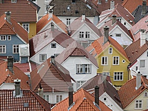 Roofs - Bergen, Norway photo