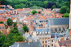 Roofs of Flemish Houses in Brugge