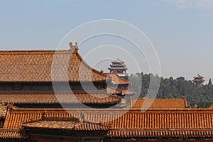 Roofs Forbidden City.