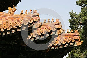 roofs of a kiosk at the forbidden city in beijing (china)