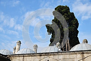 Roofs of mosque Istanbul, Turkey