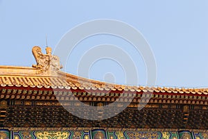 Roofs and ornaments of The Forbidden City.