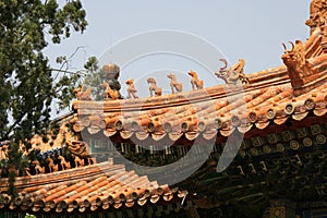 roofs of pavilions at the forbidden city in beijing (china)