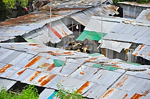 Roofs of shacks and houses in the slums of an urban area.