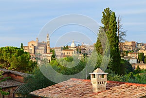 Roofs of Siena