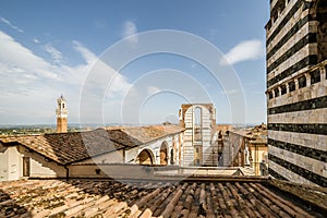 Roofs of Siena Cathedral