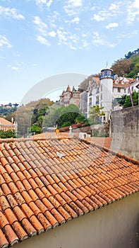 Roofs of Sintra photo