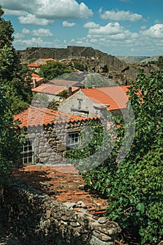 Roofs of stone old houses with leafy treetops