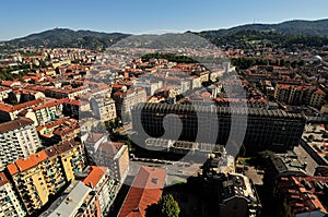 Roofs of Torino