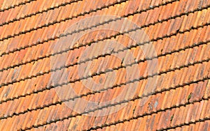 Rooftiles on a dutch house
