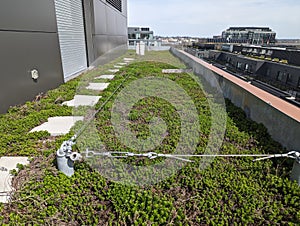 Rooftop bee garden