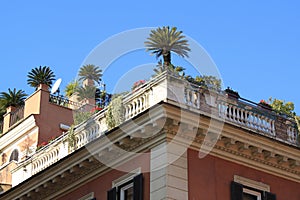 Rooftop garden in Rome