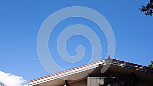 Rooftop of house with little bird and clear blue sky