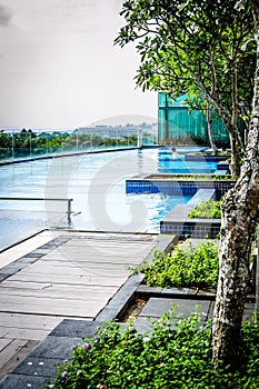 Rooftop infinity swimming pool with sunbathing lounge chairs and trees