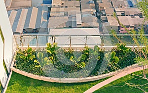 Rooftop ornamental garden