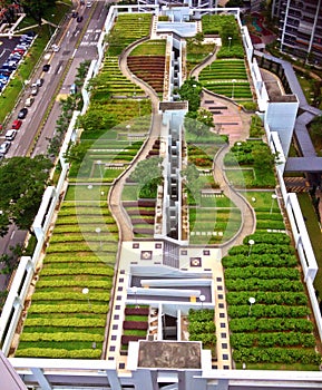 Rooftop park