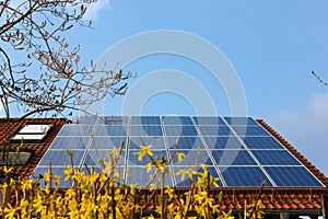 rooftop with solar panels and yellow flowers photo