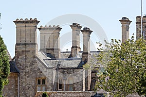 Rooftop stacks on medieval building. Grand gothic architectural roof detail