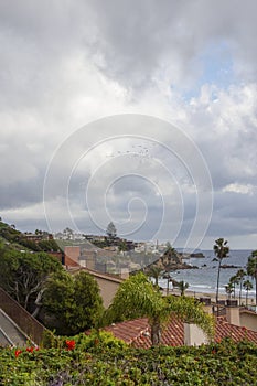 Rooftop view from the hillside of the neighboorhood and ocean