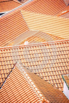 Rooftops of Lisbon 3