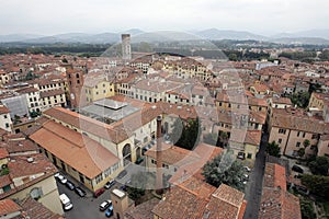 Rooftops of Lucca