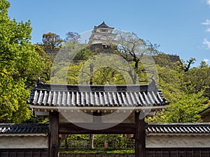 Rooftops of Marugame castle amid lush greenery in springtime