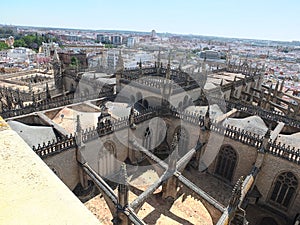 Rooftops Of Seville Cathedral