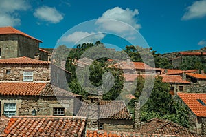 Rooftops of stone old houses with leafy treetops