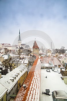 Rooftops In Tallinn